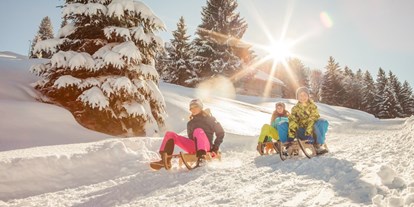 Hotels und Ferienwohnungen im Oberallgäu - Kategorien: Freizeitpark - Deutschland - Alpsee Bergwelt mit Alpsee Coaster im Winter - Alpsee Bergwelt mit Alpsee Coaster im Winter