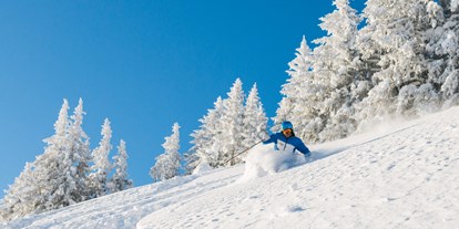 Hotels und Ferienwohnungen im Oberallgäu - Skischule Grasgehren und Fischen im Allgäu - Skischule Grasgehren und Fischen im Allgäu