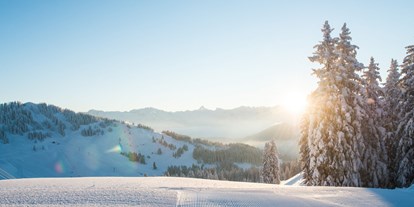 Hotels und Ferienwohnungen im Oberallgäu - Parken & Anreise: Anreise mit ÖPNV möglich - Skischule Grasgehren und Fischen im Allgäu - Skischule Grasgehren und Fischen im Allgäu