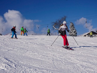 Hotels und Ferienwohnungen im Oberallgäu - Obermaiselstein - Skischule Grasgehren und Fischen im Allgäu - Skischule Grasgehren und Fischen im Allgäu