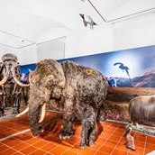 Ausflugsziele im Oberallgäu: Eiszeit Safari Allgäu - Erlebnisausstellung im Marstall Kempten - Eiszeit Safari Allgäu - Erlebnisausstellung im Marstall Kempten