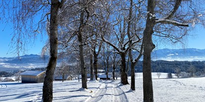 Hotels und Ferienwohnungen im Oberallgäu - Saison: Winter - Dein Wanderguide - geführte Wanderungen im Allgäu, Winterwanderung - Dein Wanderguide - geführte Wanderungen im Allgäu