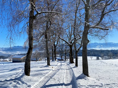 Hotels und Ferienwohnungen im Oberallgäu - Dein Wanderguide - geführte Wanderungen im Allgäu, Winterwanderung - Dein Wanderguide - geführte Wanderungen im Allgäu