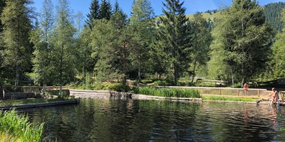 Hotels und Ferienwohnungen im Oberallgäu - Saison: Sommer - Naturbad in Bad Hindelang - Oberjoch im Allgäu - Natur - Hochmoorbad Oberjoch - Bad Hindelang im Allgäu