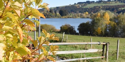 Hotels und Ferienwohnungen im Oberallgäu - Saison: Sommer - Rottachsee - Badesee und Ausflugsziel im Allgäu - Rottachsee - Badesee und Ausflugsziel im Allgäu 