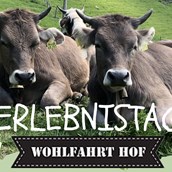 Veranstaltungskalender für das Oberallgäu: Erlebnistag auf dem Wohlfahrthof in Rettenberg - Erlebnistag auf dem Wohlfahrthof in Rettenberg