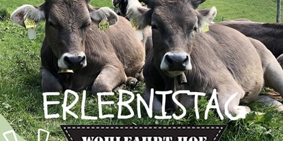 Hotels und Ferienwohnungen im Oberallgäu - Parken & Anreise: kostenlose Parkplätze - Erlebnistag auf dem Wohlfahrthof in Rettenberg - Erlebnistag auf dem Wohlfahrthof in Rettenberg