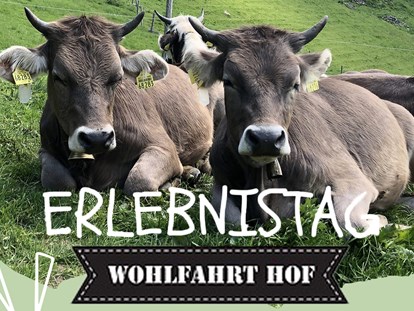 Hotels und Ferienwohnungen im Oberallgäu - Erlebnistag auf dem Wohlfahrthof in Rettenberg - Erlebnistag auf dem Wohlfahrthof in Rettenberg