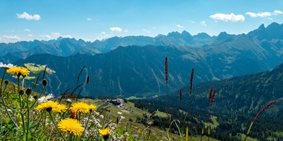 Hotels und Ferienwohnungen im Oberallgäu - Saison: Sommer - Bayern - Bergbahnen im Oberallgäu - die Fellhornbahn - Fellhornbahn in Oberstdorf - Allgäu im Sommer