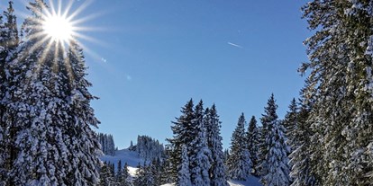 Hotels und Ferienwohnungen im Oberallgäu - Wetter: bei schönem Wetter - Bayern - Winterparadies Mittagbahn - Rasthaus am Mittag - Winterparadies  Mittagbahn über Immenstadt im Allgäu