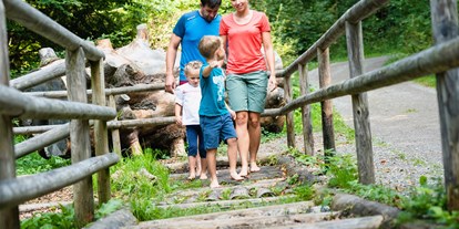 Hotels und Ferienwohnungen im Oberallgäu - Kinder & Familie: Kinder sind willkommen - Erlebnisbahnen am Hündle in Oberstaufen im Allgäu - Hündle Erlebnisbahnen in Oberstaufen im Allgäu