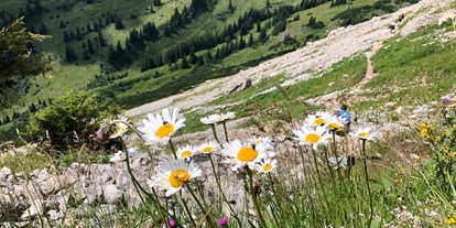 Hotels und Ferienwohnungen im Oberallgäu - Saison: Sommer - Ifen Bergbahnen im Kleinwalsertal / Allgäu - Ifen - Wanderparadies im Kleinwalsertal