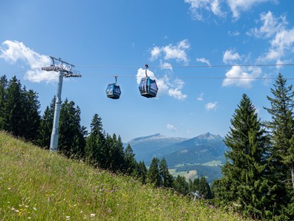 Hotels und Ferienwohnungen im Oberallgäu - Oberstdorf - Söllereckbahn - Bergbahnen in Oberstdorf / Oberallgäu  - Die Söllereckbahn im Sommer 