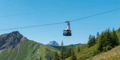 Hotels und Ferienwohnungen im Oberallgäu - Kategorien: Bergbahn - Österreich - Walmendingerhornbahn - Bergbahnen im Kleinwalsertal - Walmendingerhornbahn im Sommer
