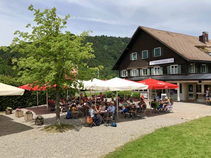 Hotels und Ferienwohnungen im Oberallgäu - Sommerrodelbahn am Hündle in Oberstaufen im Allgäu - Sommerrodelbahn am Hündle in Oberstaufen im Allgäu