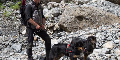 Hotels und Ferienwohnungen im Oberallgäu - Kategorien: Naturerlebnis - Hundewandertouren Kleinwalsertal