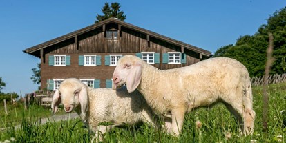 Hotels und Ferienwohnungen im Oberallgäu - Kategorien: Tierpark - Allgäuer Bergbauernmuseum Immenstadt - Diepolz - Allgäuer Bergbauernmuseum Immenstadt - Diepolz