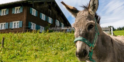 Hotels und Ferienwohnungen im Oberallgäu - Kategorien: Tierpark - Allgäuer Bergbauernmuseum Immenstadt - Diepolz - Allgäuer Bergbauernmuseum Immenstadt - Diepolz