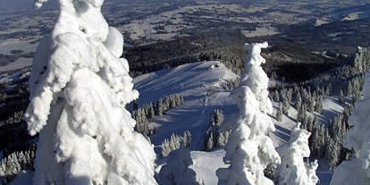 Hotels und Ferienwohnungen im Oberallgäu - Kategorien: Skigebiet - Bayern - Grüntenlifte Rettenberg / Kranzegg