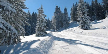 Hotels und Ferienwohnungen im Oberallgäu - Bayern - Skigebiete Balderschwang - Riedbergerhorn im Allgäu - Skigebiet Balderschwang - Riedbergerhorn im Allgäu