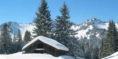 Hotels und Ferienwohnungen im Oberallgäu - Wetter: bei jedem Wetter - Skigebiete Balderschwang - Riedbergerhorn im Allgäu - Skigebiet Balderschwang - Riedbergerhorn im Allgäu