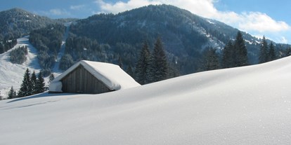 Hotels und Ferienwohnungen im Oberallgäu - Saison: Winter - Bayern - Skigebiete Balderschwang - Riedbergerhorn im Allgäu - Skigebiet Balderschwang - Riedbergerhorn im Allgäu