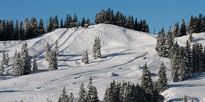 Hotels und Ferienwohnungen im Oberallgäu - Kategorien: Skigebiet - Obermaiselstein Grasgehren - Sonnenparadies Grasgehren am Riedbergpass im Oberallgäu - Sonnen- Skiparadies Grasgehren am Riedbergpass