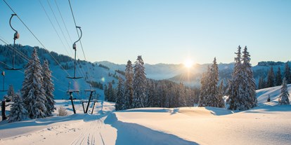 Hotels und Ferienwohnungen im Oberallgäu - Saison: Winter - Sonnenparadies Grasgehren - Obermaiselstein / Balderschwang - Sonnen- Skiparadies Grasgehren am Riedbergpass