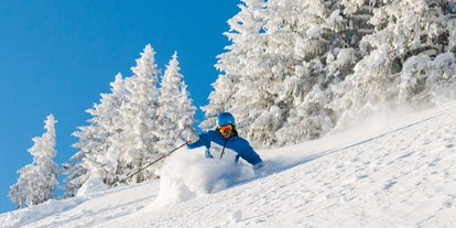Hotels und Ferienwohnungen im Oberallgäu - Saison: Winter - Bayern - Skigebiet Grasgehren - Obermaiselstein / Balderschwang - Sonnen- Skiparadies Grasgehren am Riedbergpass