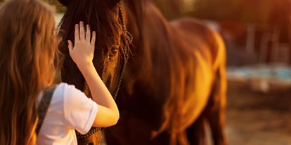 Hotels und Ferienwohnungen im Oberallgäu - Saison: ganzjährig - Pferde gestütztes Coaching im Allgäu