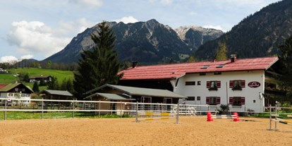 Hotels und Ferienwohnungen im Oberallgäu - Wetter: bei jedem Wetter - Oberstdorf - Pferde gestütztes Coaching im Allgäu