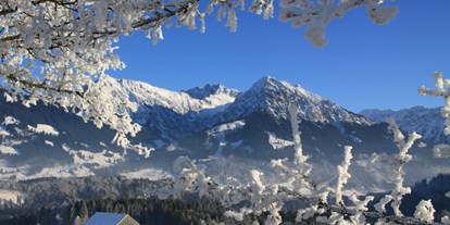 Hotels und Ferienwohnungen im Oberallgäu - Reisegrund: Skiurlaub - Obermaiselstein - Pension Forelle mit Halbpension in Obermaiselstein im Allgäu - Ferienpension Forelle
