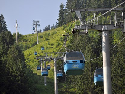 Hotels und Ferienwohnungen im Oberallgäu - Kostenlos Bergbahnen nutzen mit Bad Hindelang PLUS - Haus Meinecke - Ferienwohnungen in Bad Hindelang im Allgäu