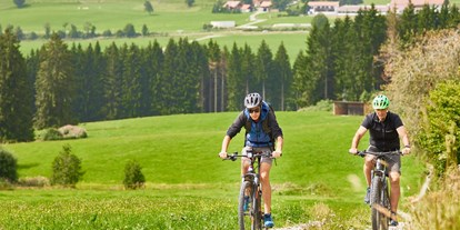 Hotels und Ferienwohnungen im Oberallgäu - Freizeit: Radfahren - Bayern - Hanusel Hof E-Bikeverleih - Hanusel Hof