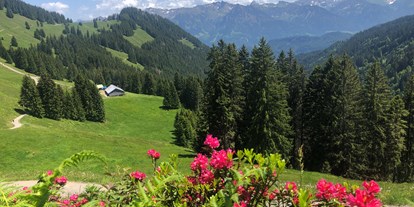 Hotels und Ferienwohnungen im Oberallgäu - Freizeit: Golfplatz (max. 3km entfernt) - Ferienwohnungen Wolf in Fischen im Allgäu