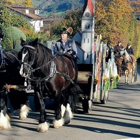 Veranstaltungen im Oberallgäu: Martiniritt mit Pferdesegnung in Blaichach - Martiniritt 2023 mit Pferdesegnung in Blaichach