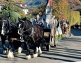 Veranstaltungen im Oberallgäu: Martiniritt mit Pferdesegnung in Blaichach - Martiniritt 2023 mit Pferdesegnung in Blaichach
