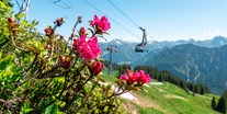 Hotels und Ferienwohnungen im Oberallgäu - Bayern - Berglar-Kirbe mit Alphornbläsern und Bergmesse - Berglar-Kirbe 2024 mit Bergmesse auf dem Fellhorn