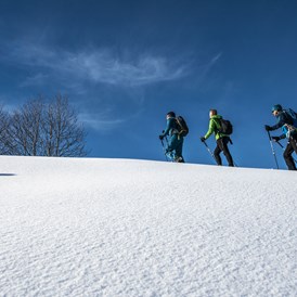 Veranstaltungen im Oberallgäu: Schneeschuh Festival Oberstaufen - Schneeschuh Festival Oberstaufen