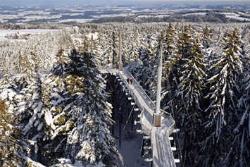 Veranstaltungen im Oberallgäu: Skywalk Allgäu feiert die Waldweihnacht