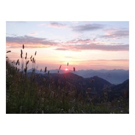 Veranstaltungen im Oberallgäu: Sonnenaufgangstour auf das Riedberger Horn