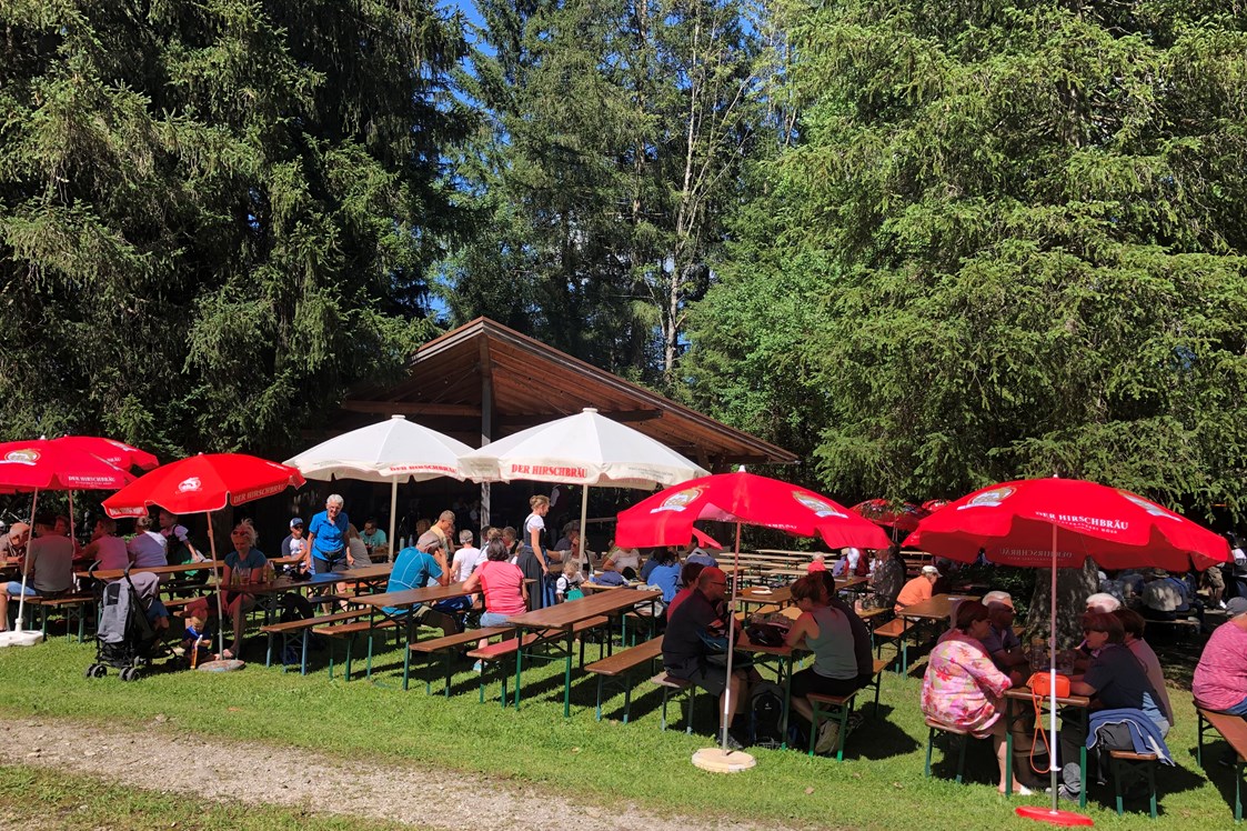 Veranstaltungen im Oberallgäu: Trachtenverein Obermaiselstein lädt ein zum 2. Waldfest - Trachtenverein Obermaiselstein lädt ein zum 2. Waldfest 2024