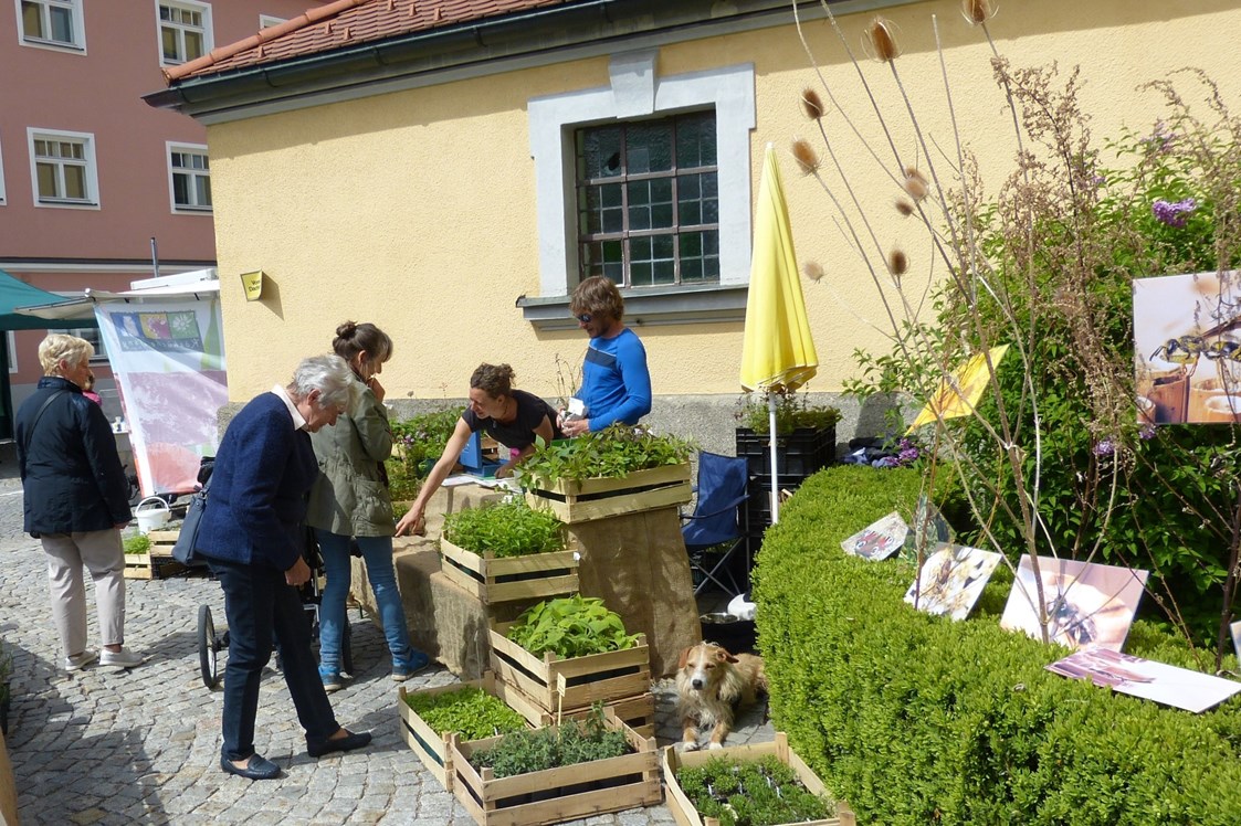 Veranstaltungen im Oberallgäu: verschoben: 5. Bio Regional Fairtrade Markt