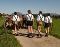 Veranstaltungen im Oberallgäu: Viehscheid in Bolsterlang - Viehscheid in Bolsterlang 2024 