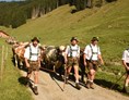 Veranstaltungen im Oberallgäu: Viehscheid in Bolsterlang - Viehscheid in Bolsterlang 2024 