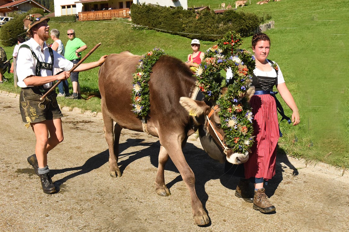 Veranstaltungen im Oberallgäu: Viehscheid in Blaichach - Gunzesried im Oberallgäu - Viehscheid 2024 in Gunzesried
