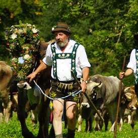 Veranstaltungen im Oberallgäu: Alpabtrieb in Oberstdorf im Allgäu - Viehscheid 2024 in Oberstdorf im Allgäu