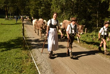 Veranstaltungen im Oberallgäu: Viehscheid in Oberstdorf im Allgäu - Viehscheid 2024 in Oberstdorf im Allgäu