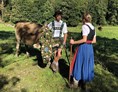 Veranstaltungen im Oberallgäu: Viehscheid / Alpabtrieb in Oberstdorf im Allgäu - Viehscheid in Oberstdorf im Allgäu 2024