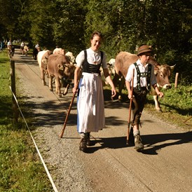 Veranstaltungen im Oberallgäu: Viehscheid in Oberstdorf im Allgäu - Viehscheid in Oberstdorf im Allgäu 2024